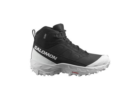 Salomon Crosstrak Waterproof (L47677300) bunt