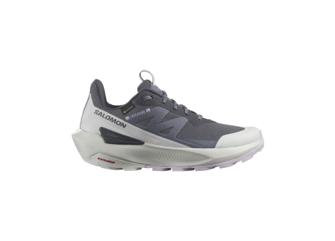 Salomon Elixir Activ Gore TEX (L47526500) grau