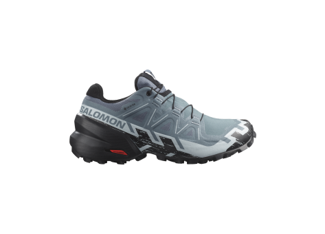 Salomon Speedcross 6 GTX W (L47302300) grau