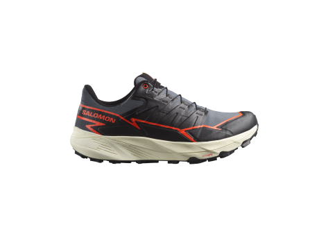 Salomon Thundercross Gore Tex GTX (L47684500) grau