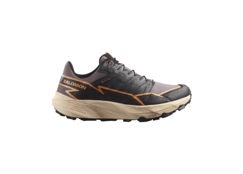 Salomon Thundercross GTX Tex Gore (L47684700) schwarz