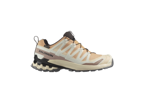 Salomon XA PRO 3D V9 GTX (L47817600) beige