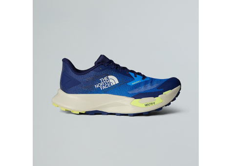 The North Face Vectiv Enduris 4 (NF0A8AEP73T) blau