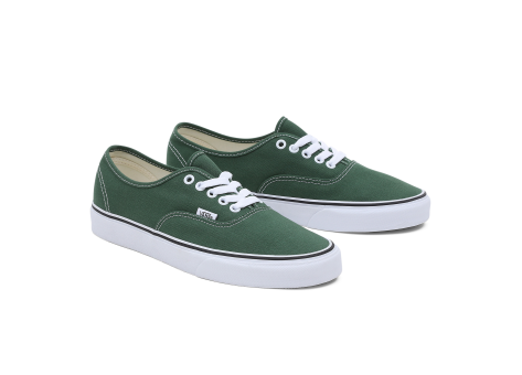 Vans Authentic Color Theory (VN0A5KS96QU1) grün