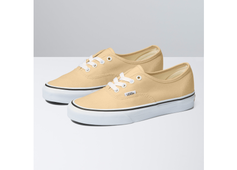 Vans Authentic Theory Color (VN0A5KS9BLP) braun