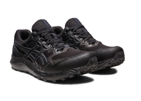 Asics Gel Sonoma 7 GTX schwarz 1012B414 002 Preisvergleich