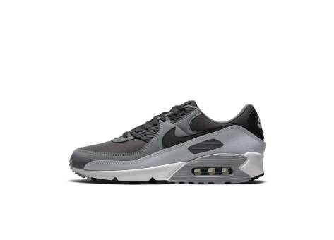 Nike Air Max 90 (DC9388-003) grau