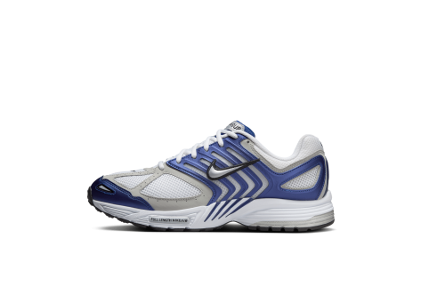 Nike Air 2005 Pegasus (HQ5403-401) bunt