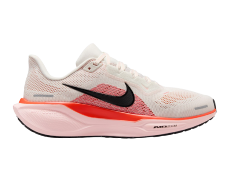 Nike Pegasus 41 (FD2723-011) bunt