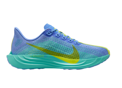 Nike Pegasus Plus (FQ7261-401) blau