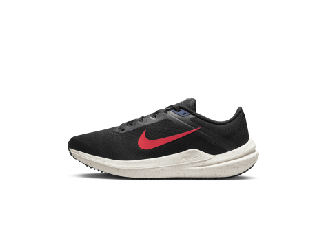 Nike Air Winflo 10 (DV4022-002) schwarz