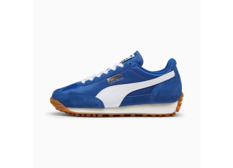 PUMA Easy Rider Vintage (399371 08) blau