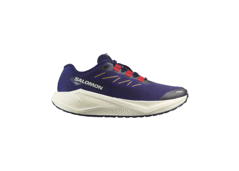 Salomon Aero Blaze 3 GRVL (L47915400) blau