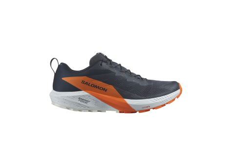 Salomon Sense Ride 5 Gore TEX GTX (L47459400) grau