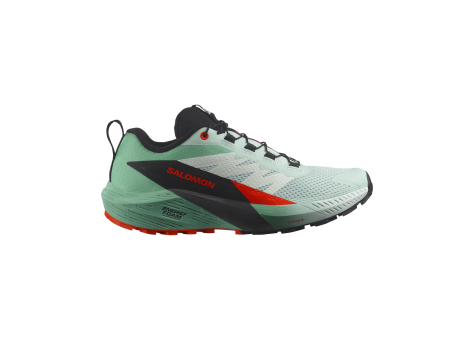 Salomon Sense Ride 5 (L47698300) grün