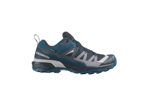 Salomon X Ultra 360 Gore TEX GTX (L47453400) bunt