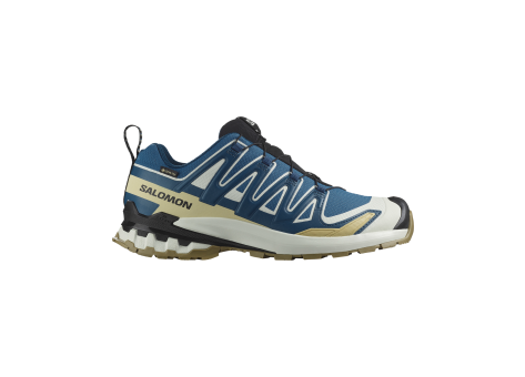 Salomon XA Pro 3D V9 GTX (L47817400) bunt