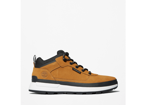 Timberland Field Trekker low lace up (TB1A2A152311) braun