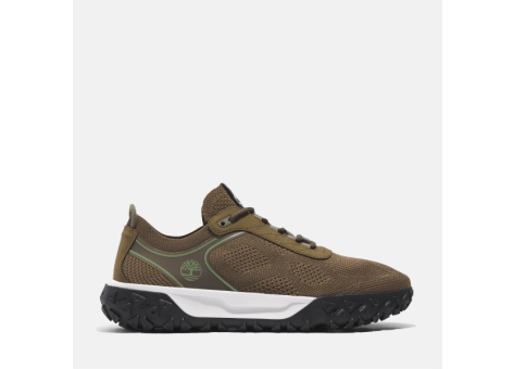 Timberland GREENSTRIDE Motion 6 Low Top (TB0A6BPWEBF1) braun