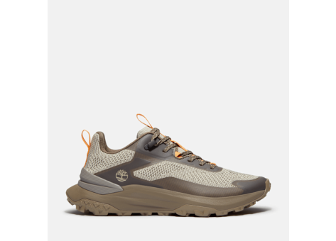 Timberland Motion Access (TB0A6DJKEKF1) beige