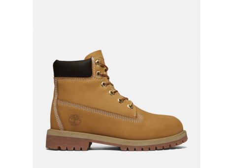 Timberland 6 Inch Premium Boot (TB0129097131) braun