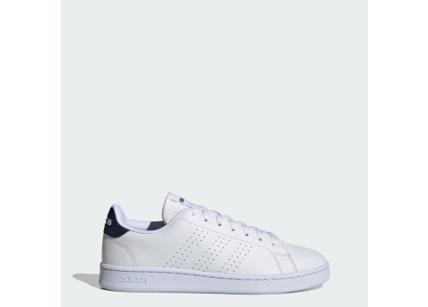 adidas Advantage (GZ5299) weiss