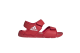adidas Altaswim J (EG2136) rot 2