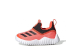 adidas Rapidazen (FV2611) orange 2