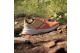 adidas Soulstride (ID8008) orange 2