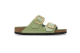 Birkenstock Arizona Big Buckle (1028613) grün 5