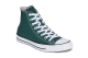 Converse Chuck Taylor All Star (A18096C) vert 1