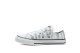 Converse Archive Zebra Chuck Taylor All Star Silver (667604F) weiss 2