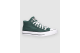 Converse CHUCK TAYLOR ALL STAR MALDEN STREET (A13214C) grün 4