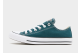 Converse Chuck Taylor All Star (A14609C) grün 6