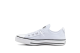 Converse Chuck Taylor All Star Shoreline Knit Slip On (565490F) weiss 1