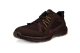 Ecco Terracruise ll TEX GTX 2025 (843064-58290) braun 2