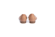 LLOYD Ballerinas 1 TOTAL ECLIPSE (1450751) bunt 2