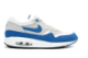 Nike Air Max 1 History Of womens (313099-141) bunt 3
