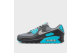 Nike Air Max 90 Cool Grey Wolf Dusty Cactus (DM0029-013) grau 1