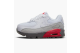 Nike Air Max 90 Flat Pewter TD (CD6868-116) bunt 2