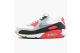 Nike Air Max 90 History HOA Infrared of 2005 (313096 101) bunt 1