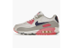Nike Air Max 90 History Of (313098-141) bunt 1