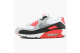 Nike Air Max 90 Infrared 2008 (333806 101) bunt 1