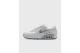 Nike Air Max 90 Photon Dust (HF4296-001) grau 1