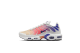 Nike Air Max Plus (DZ3670-003) grau 1