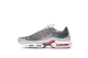 Nike Air Max Plus Wave OG Grey Grid (BV1983-001) bunt 4