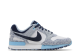 Nike Air Pegasus 89 Golf NRG Accept and Embrace (FN6914 400) bunt 4