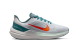 Nike Air Winflo 9 (dd6203-005) weiss 1