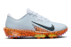Nike Air Zoom Infinity Tour 2 (FV2273 900) grau 1