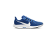 Nike Air Zoom Pegasus 36 TB Game Royal (BV1773 403) blau 2